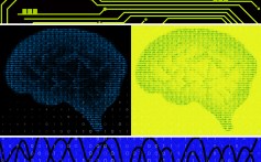 Follow the money, licensing AI training rights