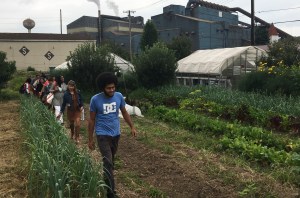 Farm Aid supporters tour Braddock Farms